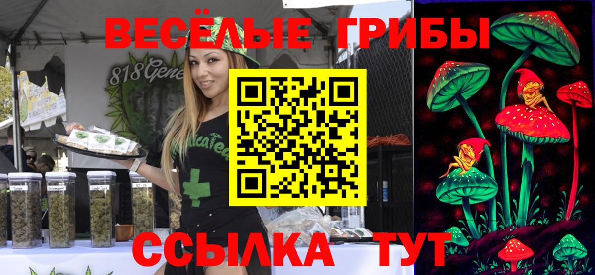 Галлюциногенные грибы Cubensis Альметьевск